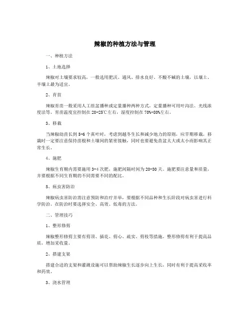辣椒的种植方法与管理