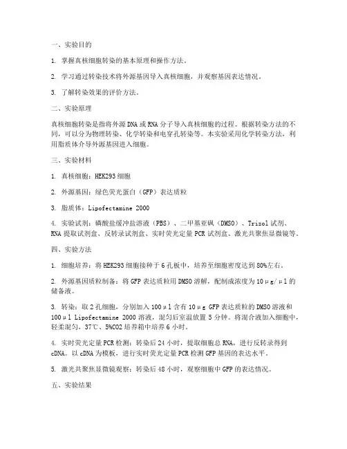 真核细胞转染实验报告