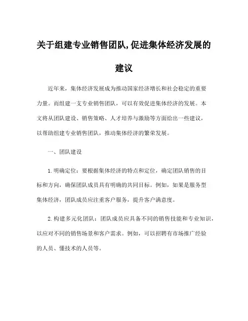 关于组建专业销售团队,促进集体经济发展的建议