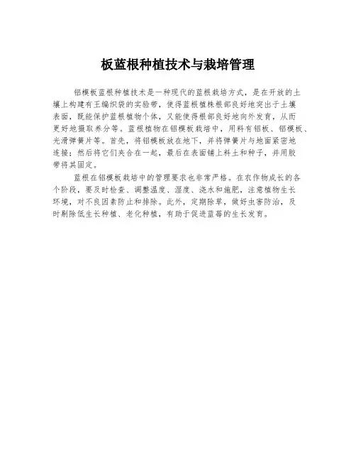 板蓝根种植技术与栽培管理