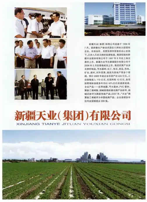 新疆天业(集团)有限公司