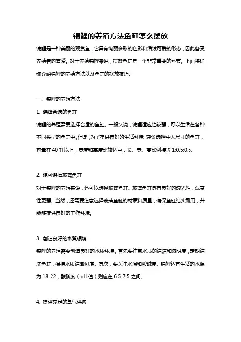 锦鲤的养殖方法鱼缸怎么摆放