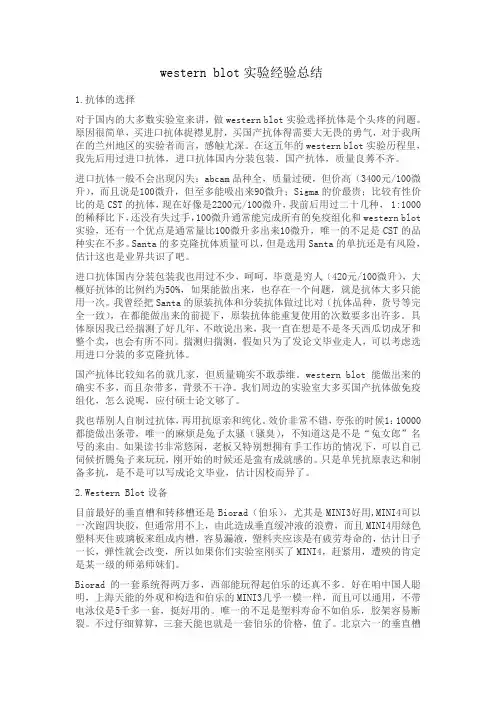 western blot实验经验总结