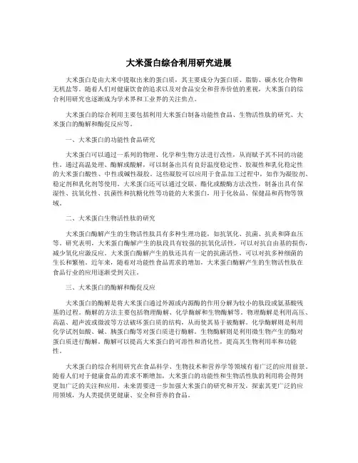 大米蛋白综合利用研究进展