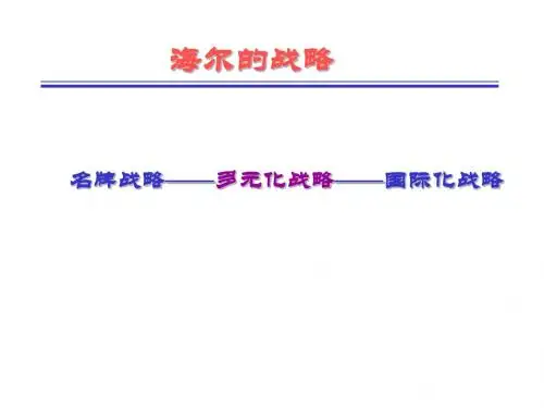 minicase-海尔的多元化