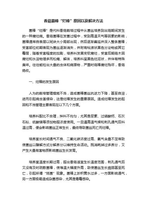 香菇菌棒“烂棒”原因以及解决方法