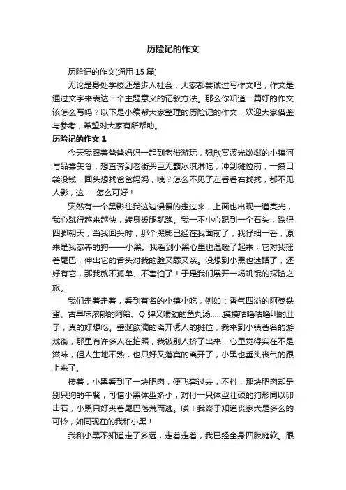 历险记的作文