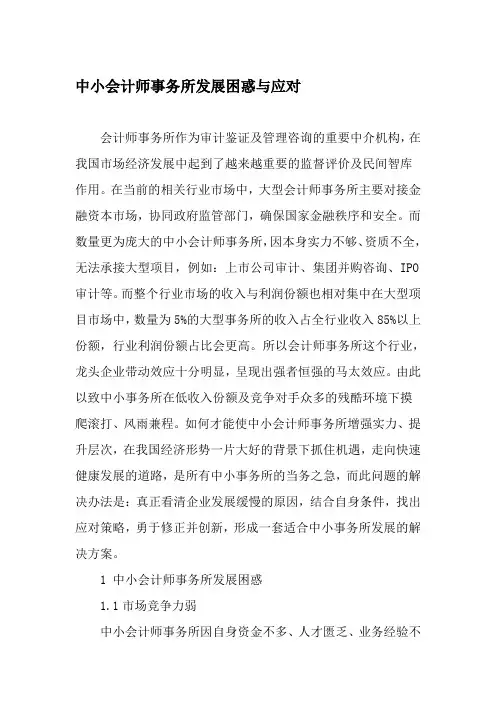 中小会计师事务所发展困惑与应对-最新文档资料