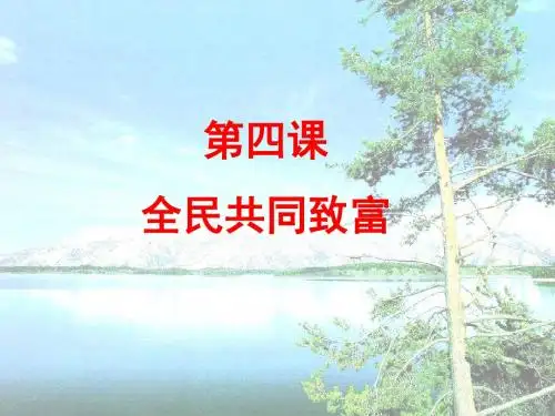 九年级政治全民共同致富(新2019)