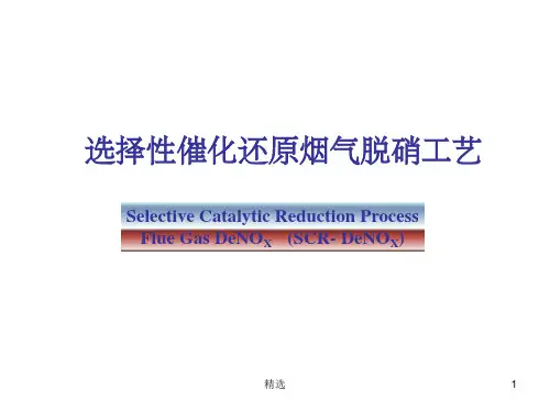 脱硝工艺系统介绍ppt课件