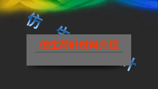 荷叶效应ppt