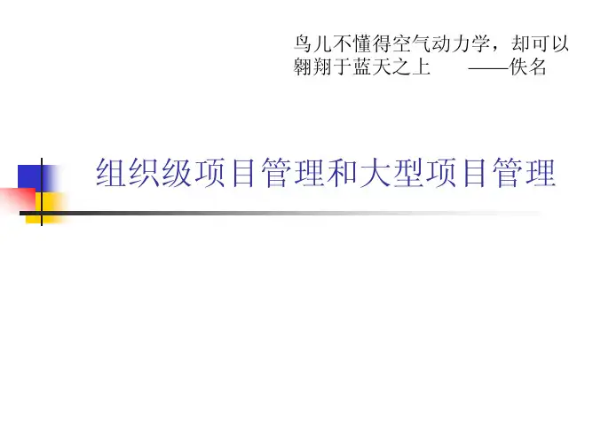 组织级项目管理