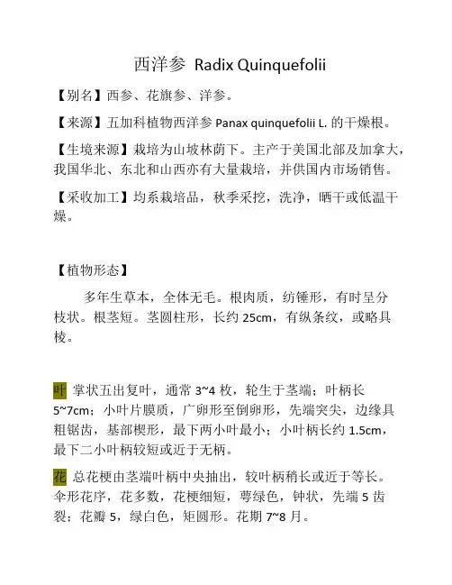 西洋参