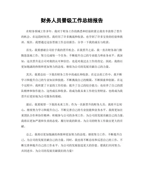 财务人员晋级工作总结报告