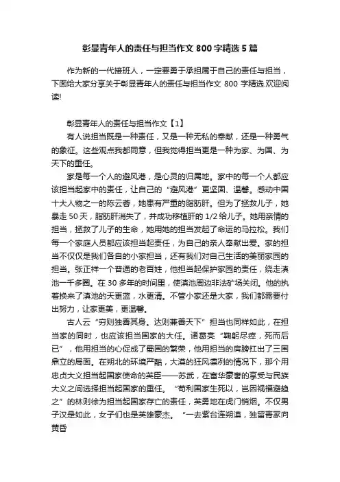 彰显青年人的责任与担当作文800字精选5篇
