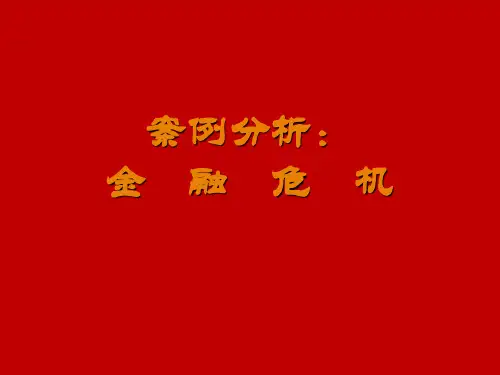 案例分析：金融危机PPT演示文稿