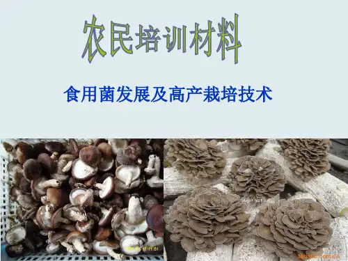 农民技术培训——食用菌发展及高产栽培技术课件