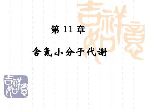 第11章含氮小分子代谢ppt课件