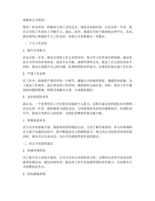 个人工作总结给公司的意见