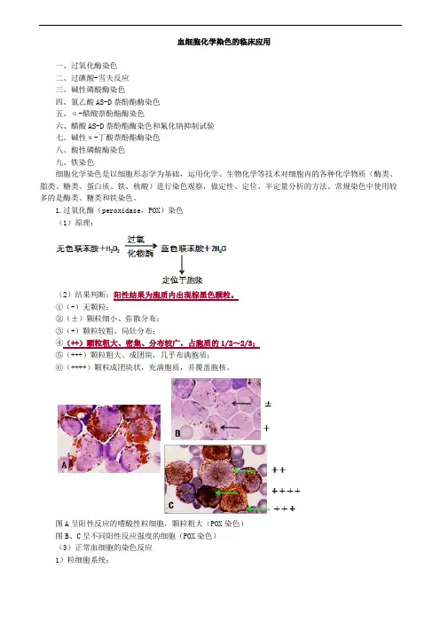 血细胞化学染色的临床应用考点总结