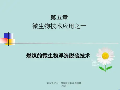 第五章应用一燃煤微生物浮选脱硫技术