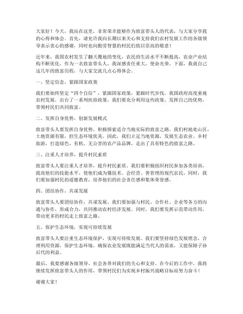 致富带头人发言稿范文