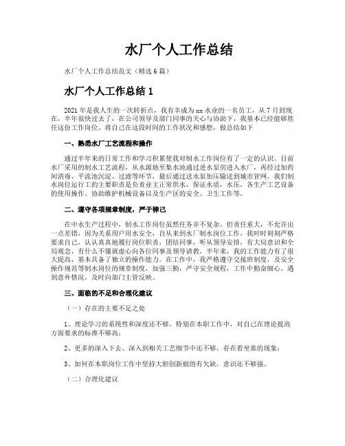 水厂个人工作总结