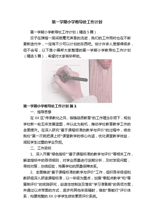 第一学期小学教导处工作计划