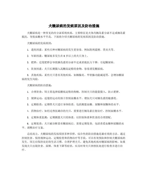 犬糖尿病的发病原因及防治措施
