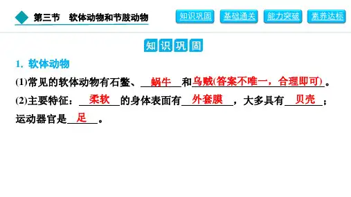 八年级上册生物【习题】5.1.3 软体动物和节肢动物