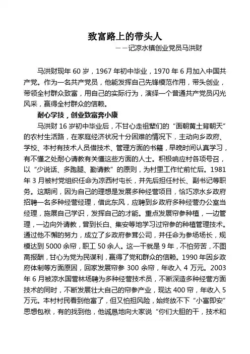 致富路上的带头人(马洪财)