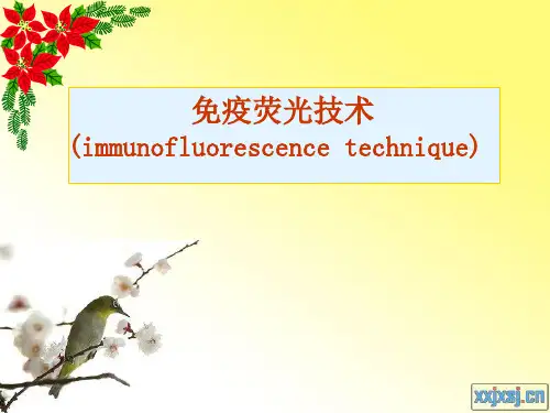 免疫荧光技术