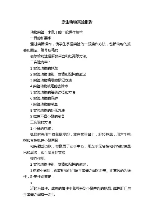 原生动物实验报告