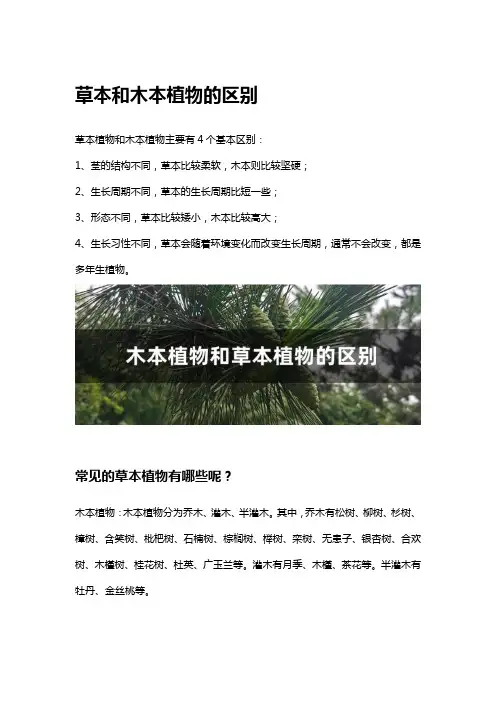 草本和木本植物的区别