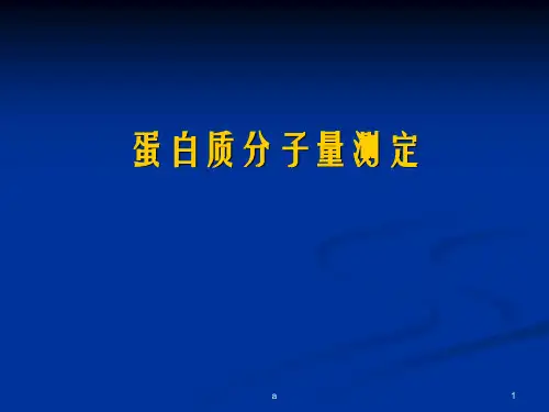 蛋白质的化学修饰