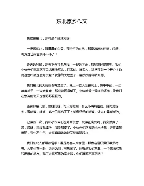 东北家乡作文