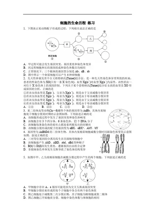 人教版高三生物下册细胞的生命历程 第二课时 课后作业