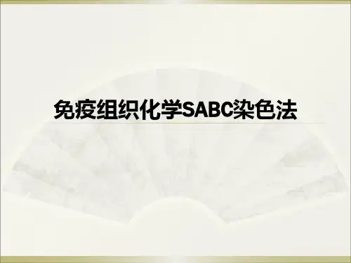 免疫组织化学SABC法