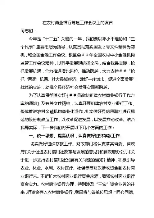 在农村商业银行筹建工作会议上的发言