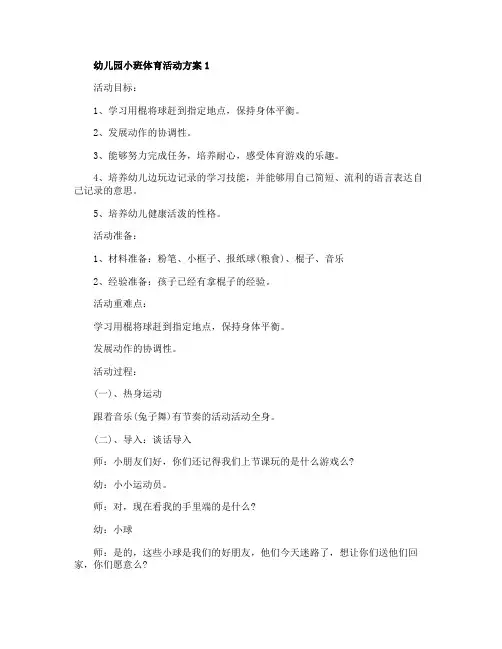 幼儿园小班体育活动开展方案5篇