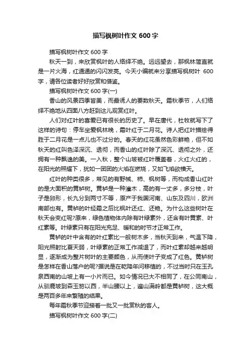 描写枫树叶作文600字