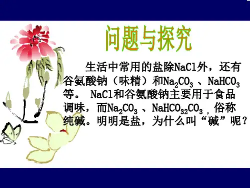 盐类的水解(1)PPT课件