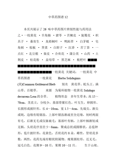中草药图谱12