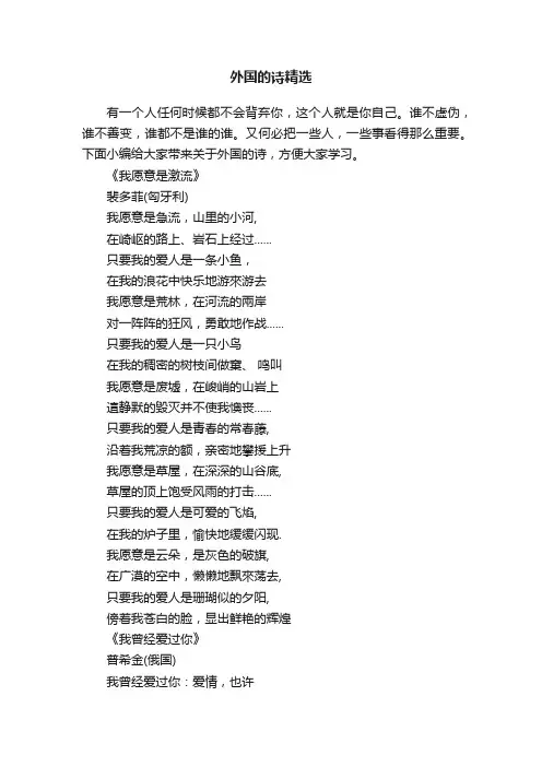 外国的诗精选