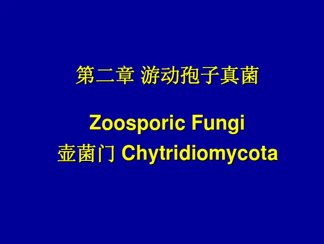 菌物学：02-1 Chytrids
