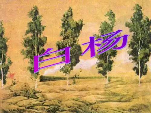 人教版五年级语文下册《白杨》课件