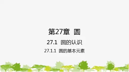 27.1.1 圆的基本元素 华师大版九年级数学下册课件