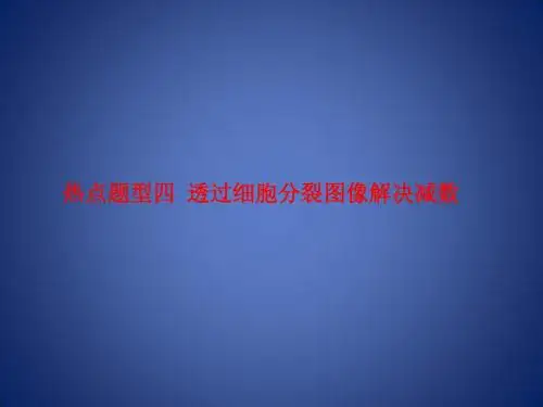 高三生物总复习 专题 热点题型四 透过细胞分裂图像解