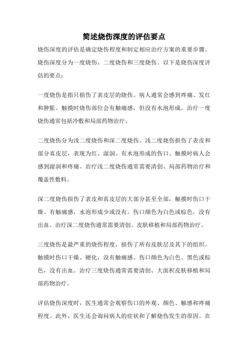 简述烧伤深度的评估要点