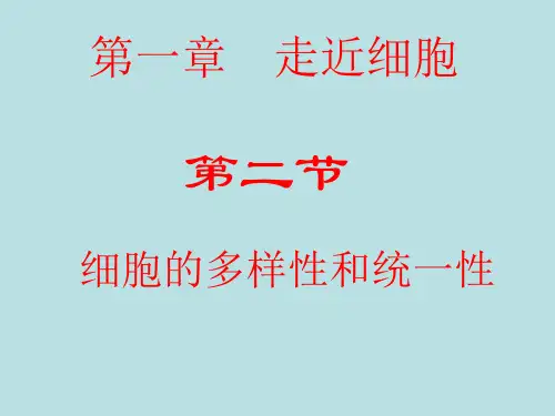 高一生物必修一显微镜的使用课件